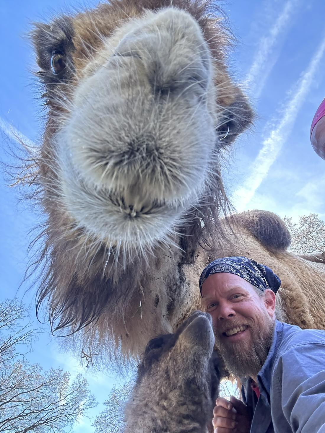A camel nose, very close to the camera
